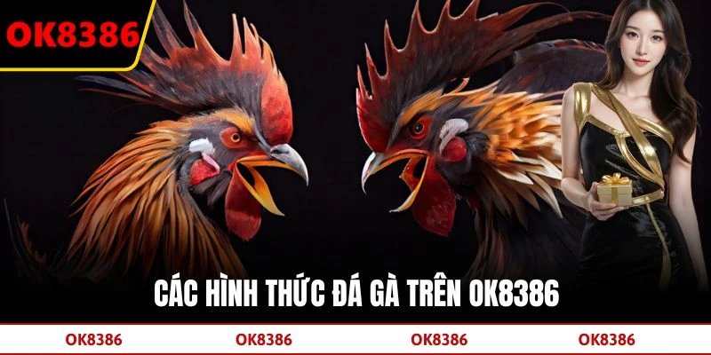 Các hình thức đá gà trên OK8386 