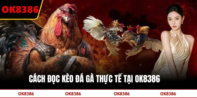 Cách đọc kèo đá gà thực tế tại OK8386