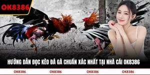 Hướng Dẫn Đọc Kèo Đá Gà Chuẩn Xác Nhất Tại Nhà Cái OK8386