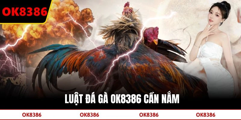 Luật đá gà OK8386 cần nắm