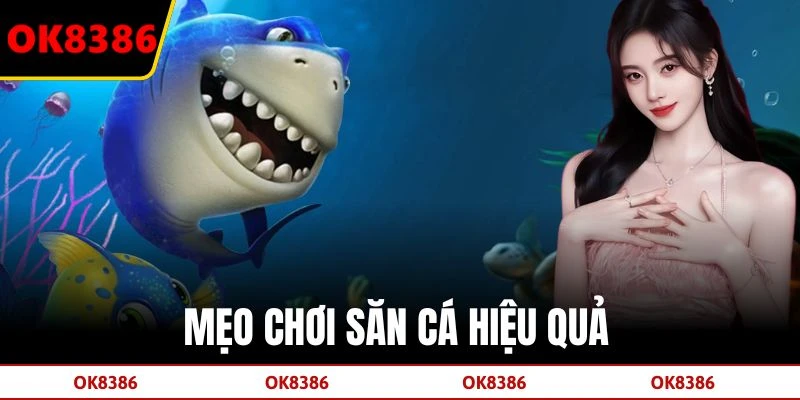 Mẹo chơi săn cá hiệu quả