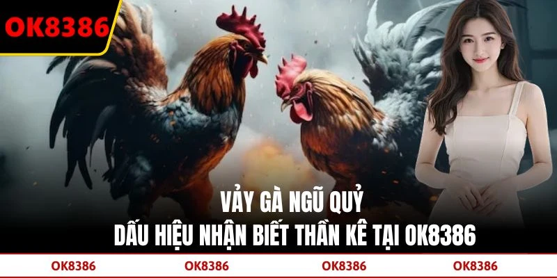Vảy Gà Ngũ Quỷ - Dấu Hiệu Nhận Biết Thần Kê Tại OK8386